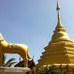 Green Tiger House