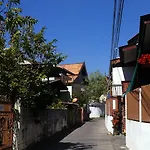 Green Tiger House