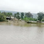 Palm Lodge Resort
