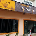 Orange Tree House