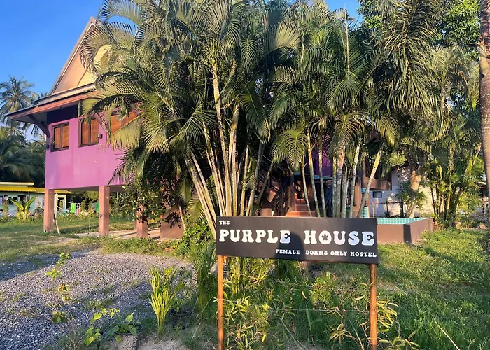 Purple House - Female Only Boutique Hostel