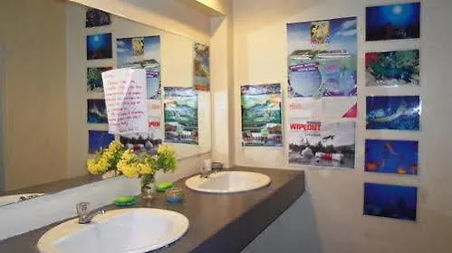 The Party Hostel