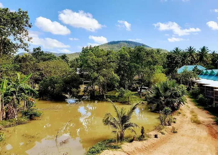 Phangan Farm Stay Eco Organic Farming