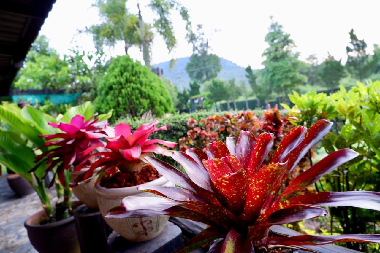 Resort Baan Maikhiangphu Wang Nam Khiao *