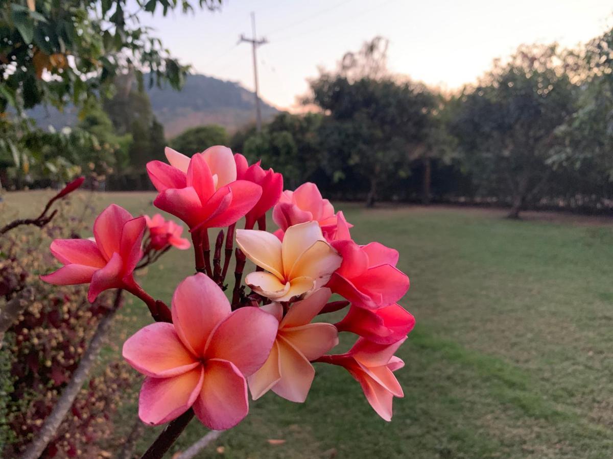 Baan Maikhiangphu Wang Nam Khiao *
