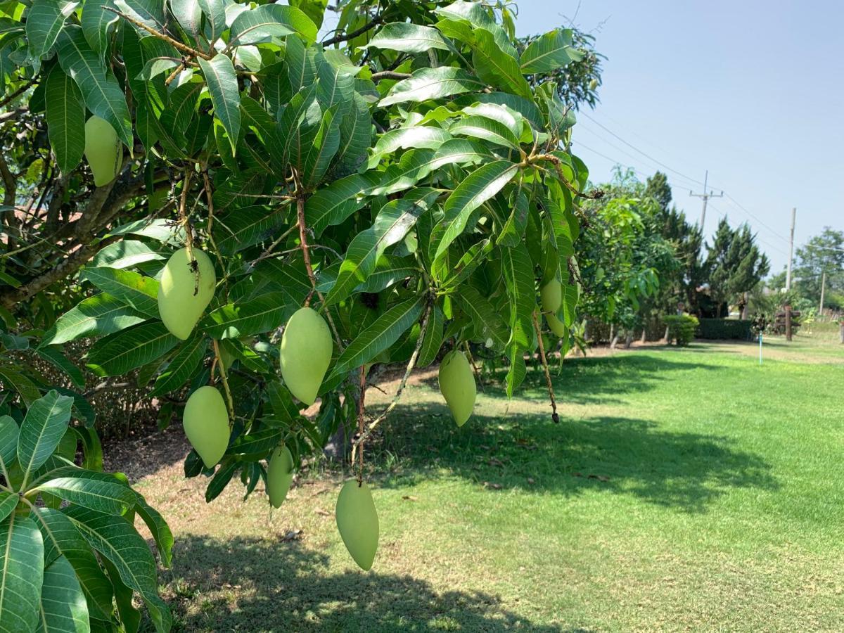 Baan Maikhiangphu Wang Nam Khiao