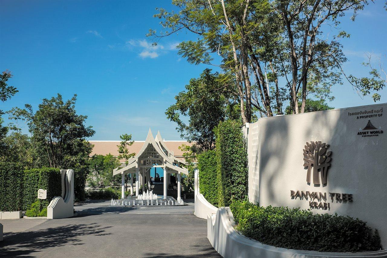 Banyan Tree