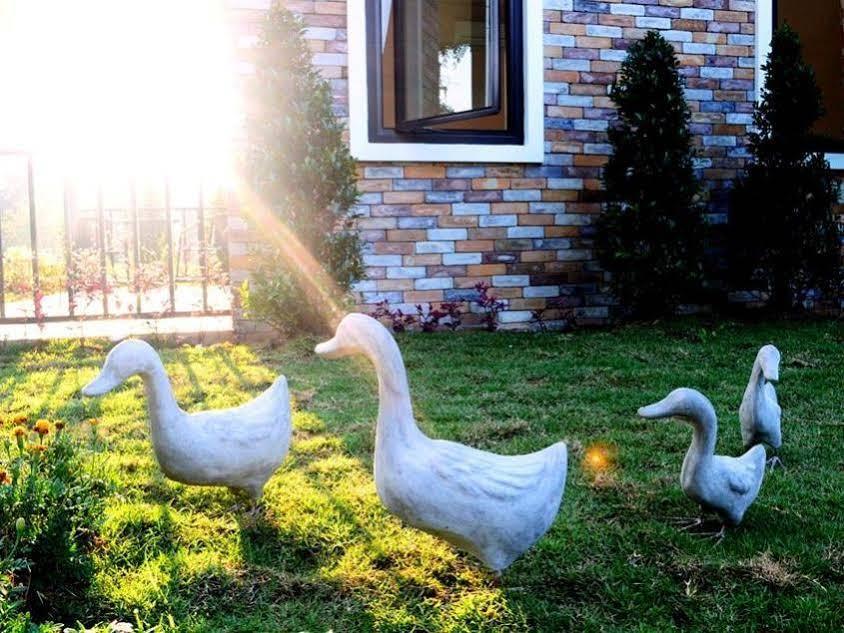 The Harmony