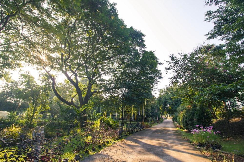 Resort The Harmony Suan Phueng