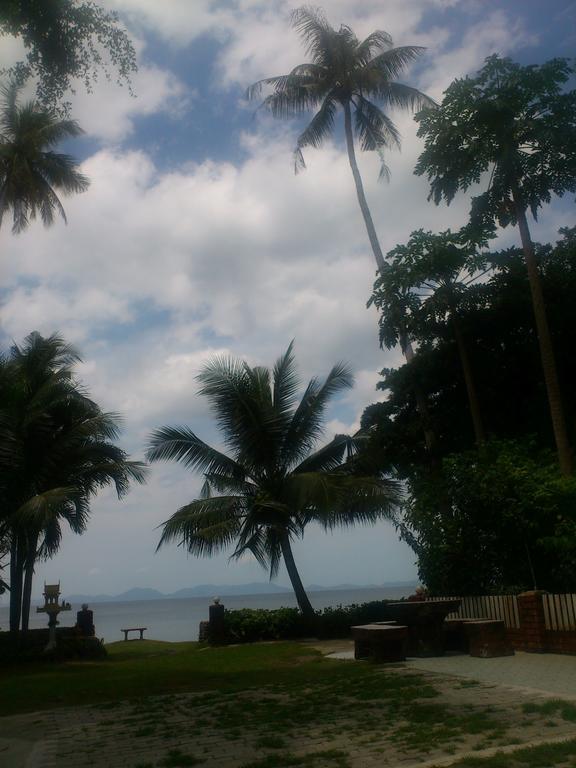 Pine * Krabi