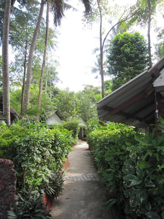 Pine * Krabi