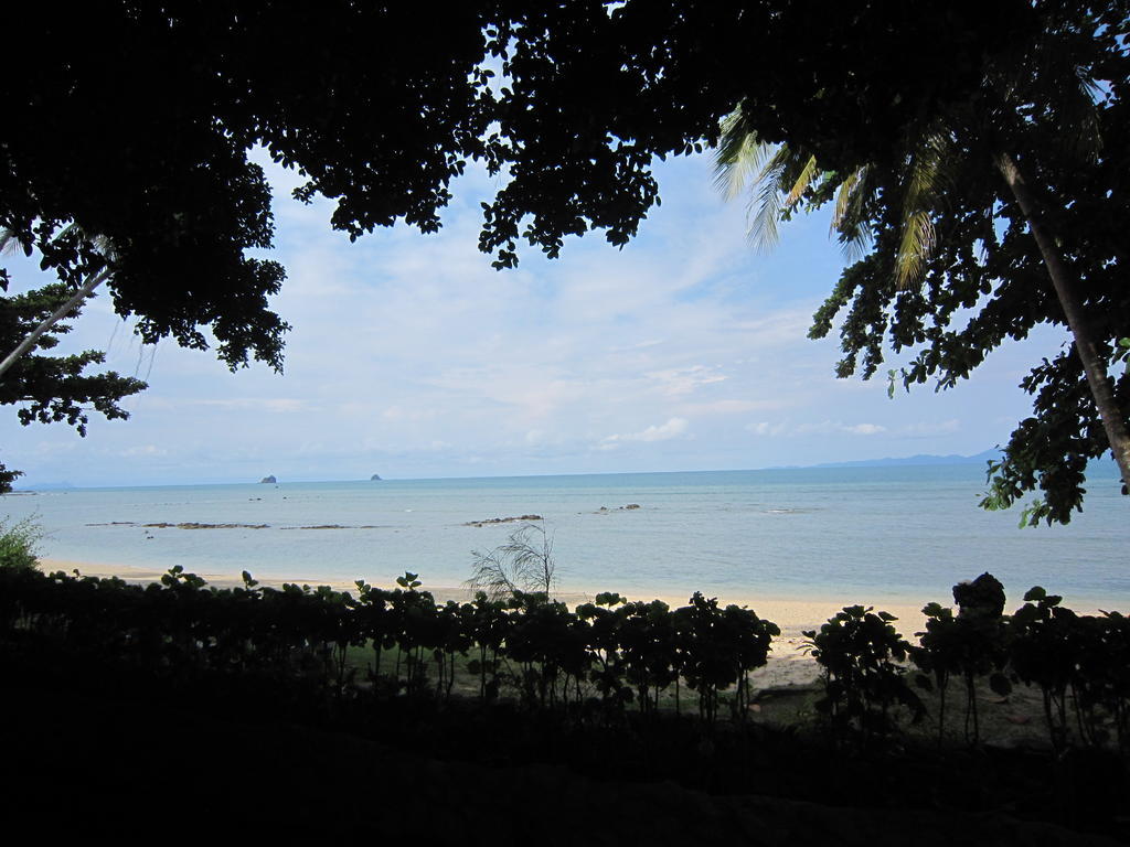 Pine Resort *