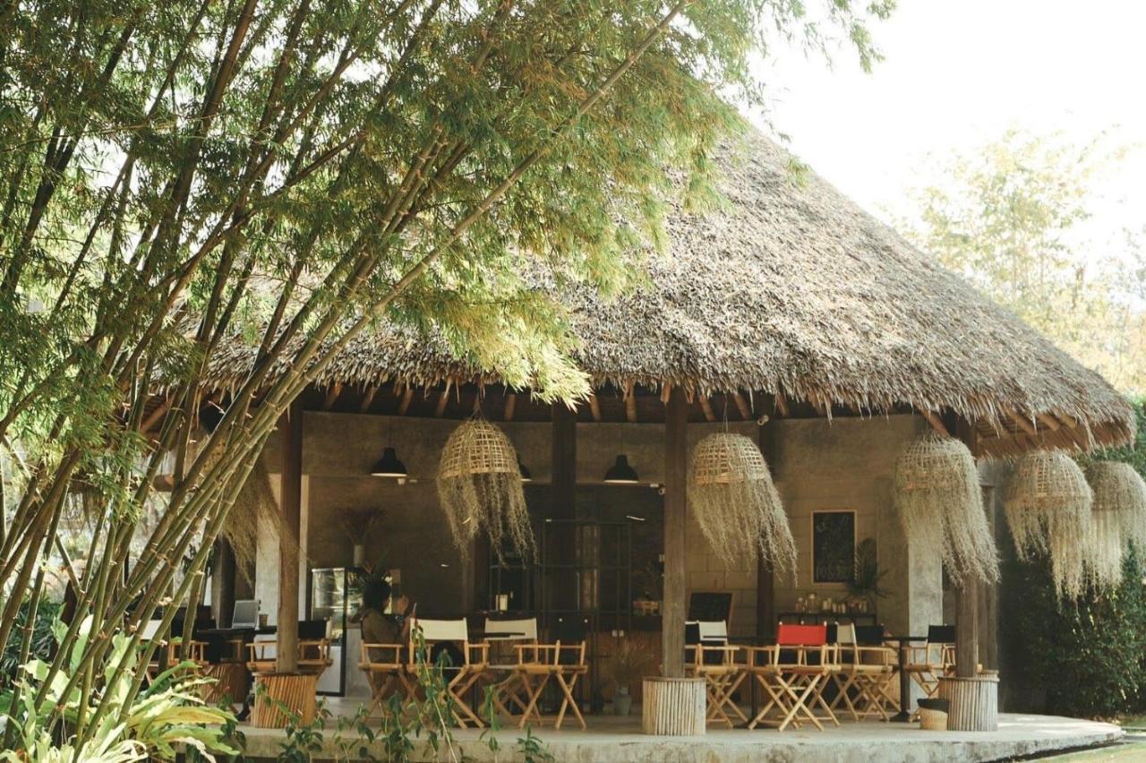 Phapok Eco
