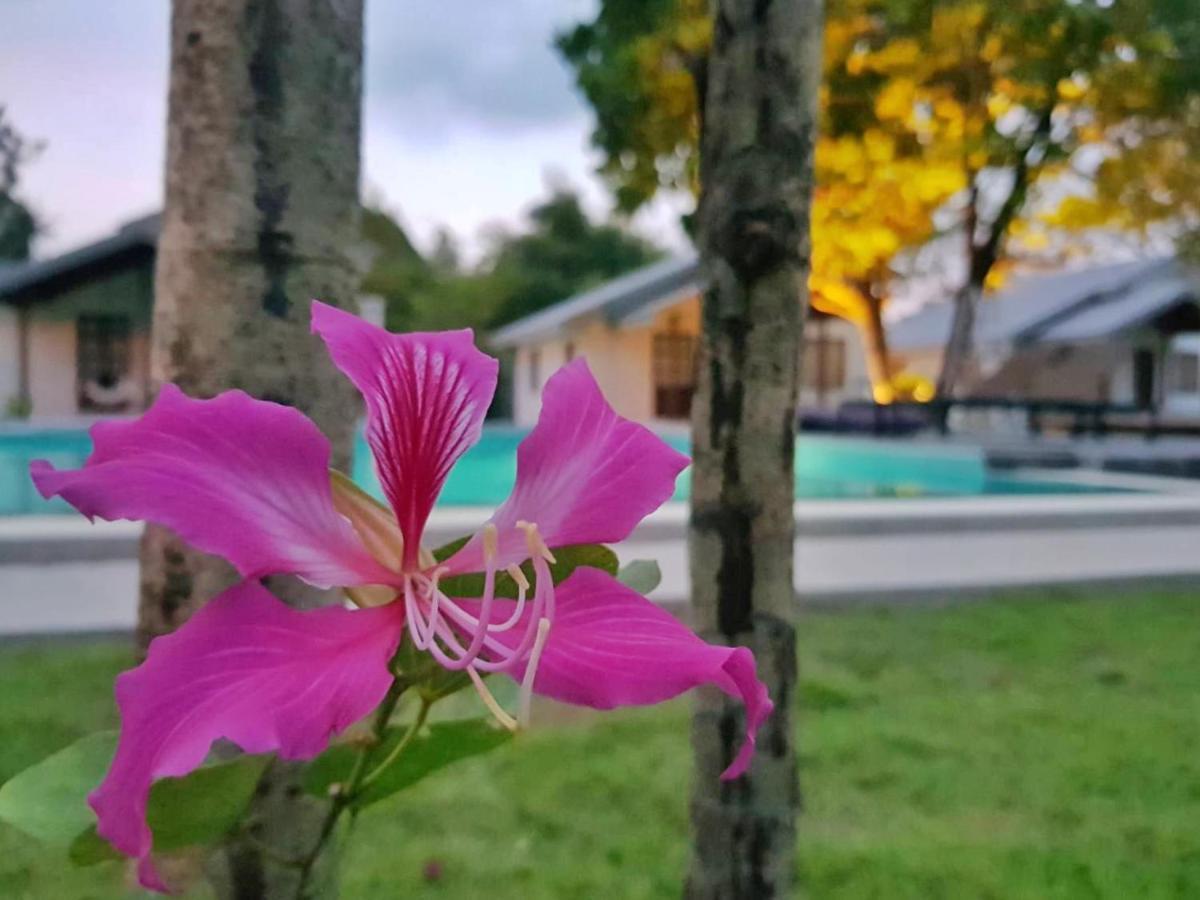 Silan Residence, Koh Phangan - An Authentic Village Experience *