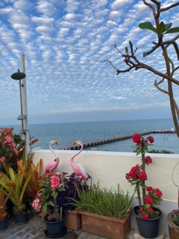 Pierview Inn