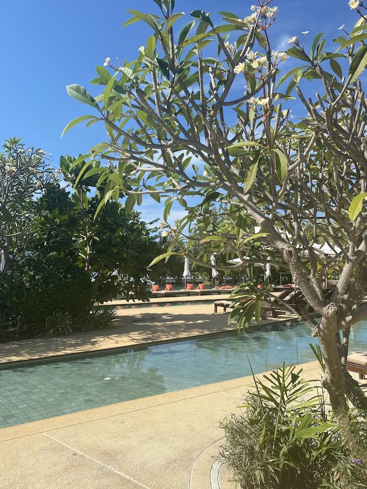 Pp Princess Pool Resort Phi Phi Don
