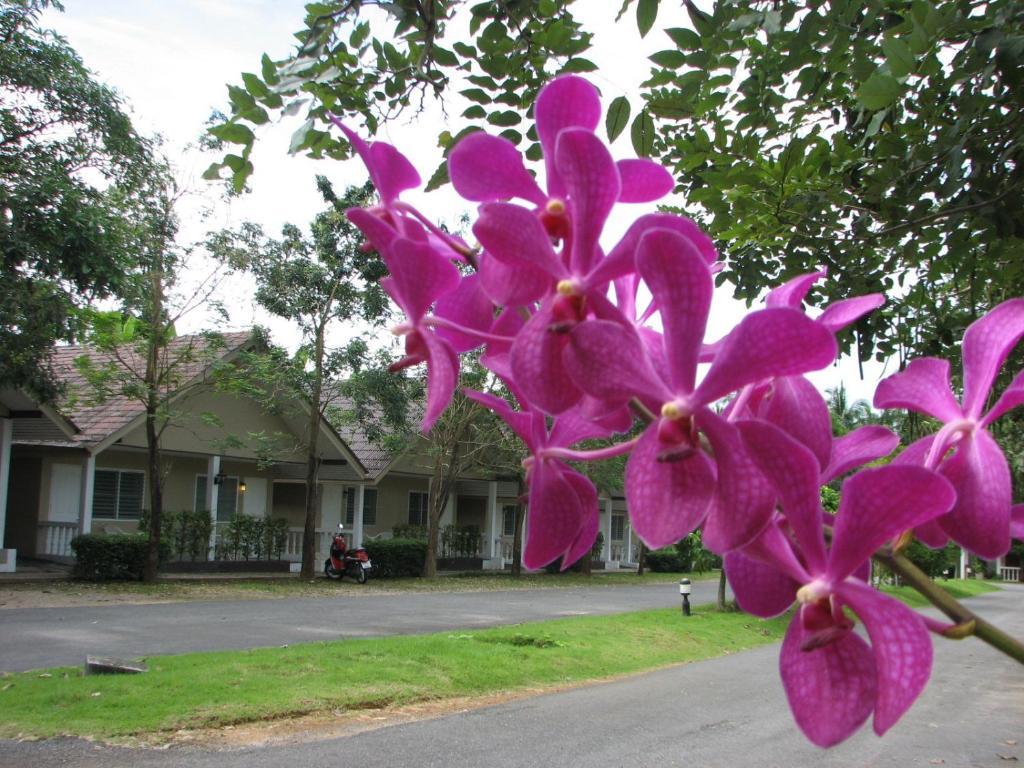 Flora Krabi