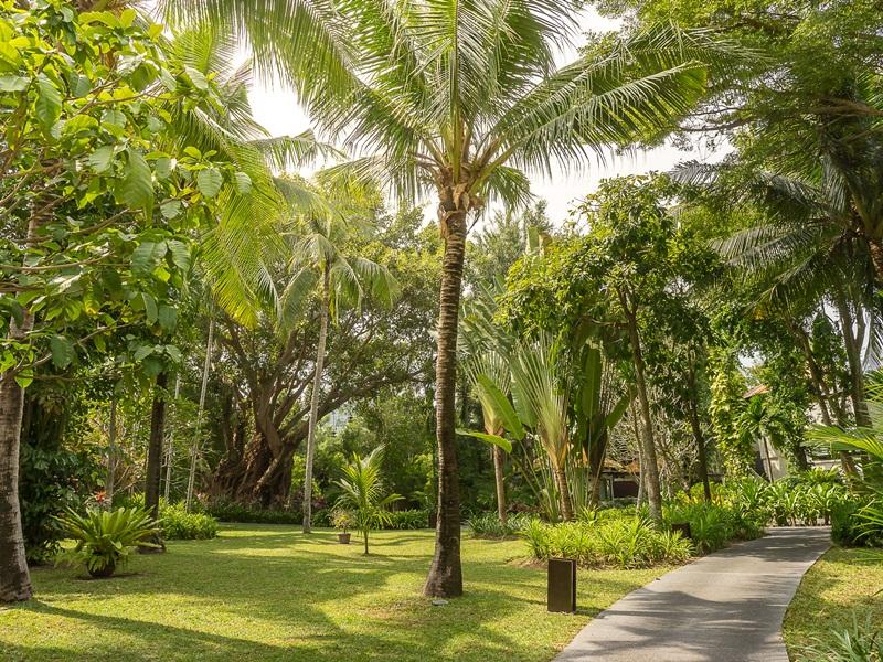 Resort Sea Sun And - Sha Na Chom Thian