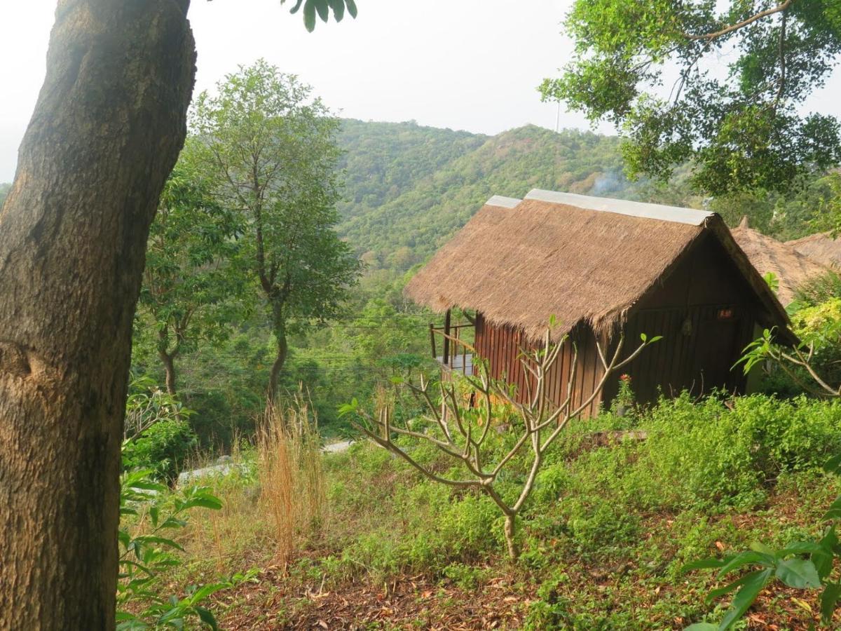 Tree House Hotel