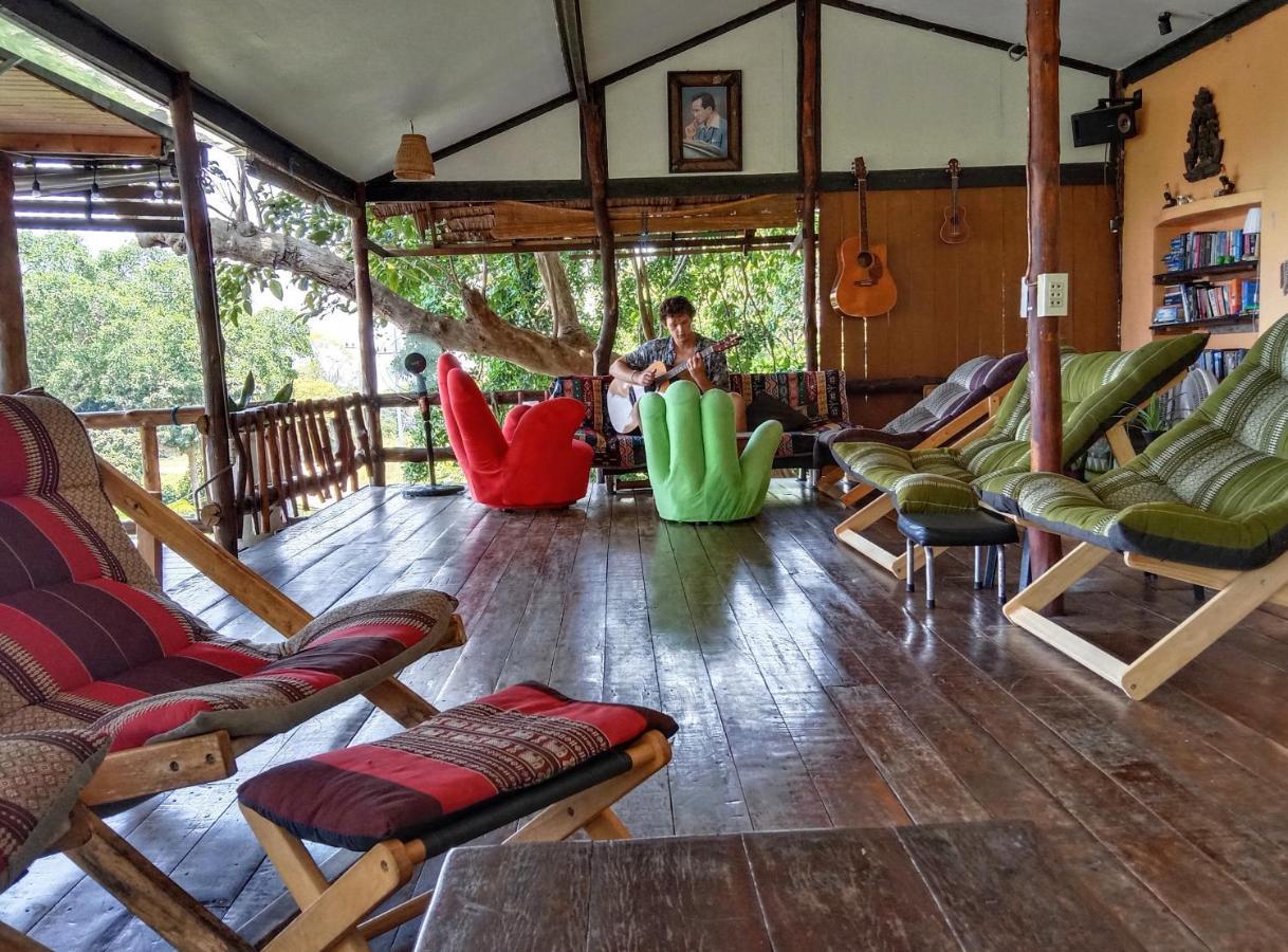 Hotel Tree House