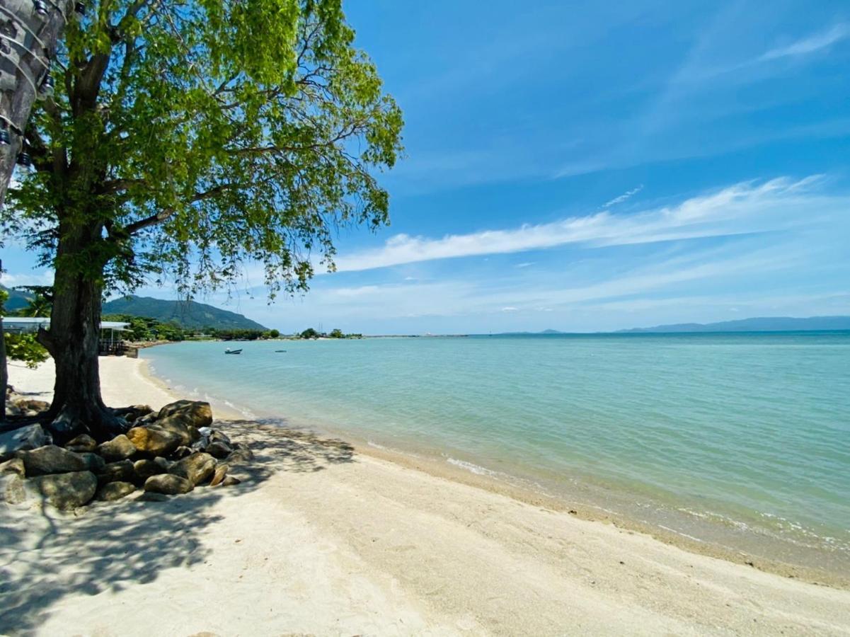 Absolute Beachfront Ban Tai