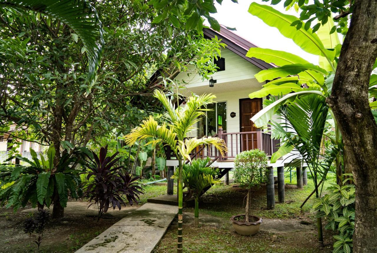 Lanta Andaleaf