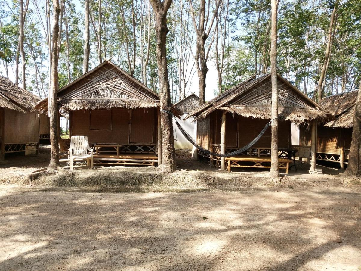 Pitt Lodge