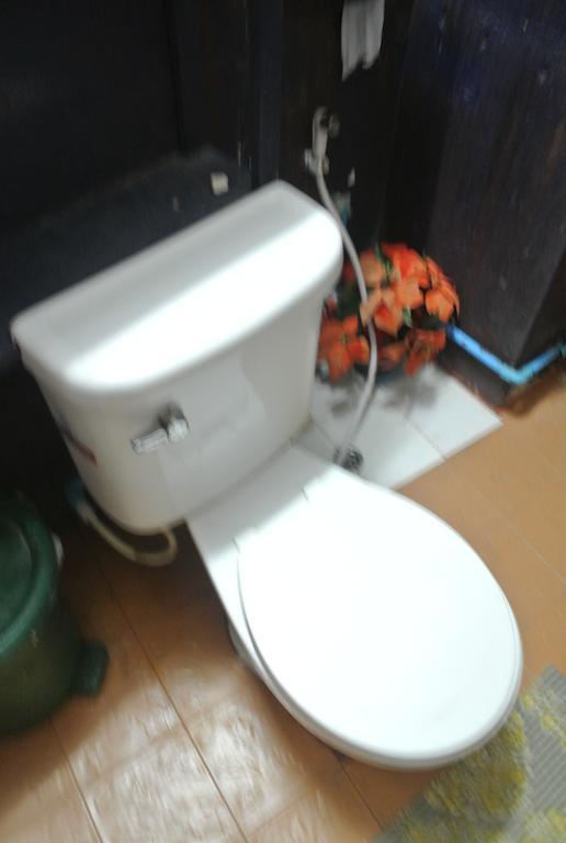 Maddy's Hostel *