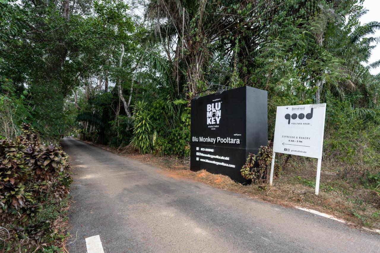 Blu Monkey Pooltara & Pet Friendly Resort