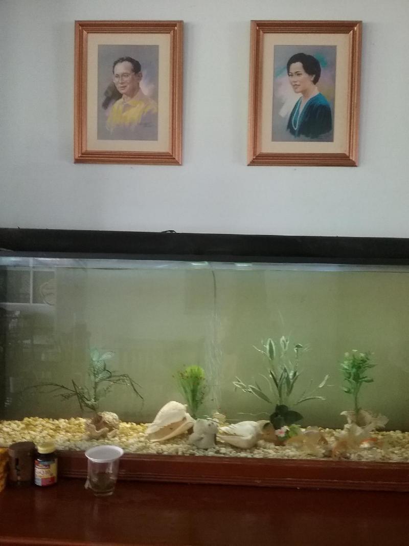 Hotel River Krabi