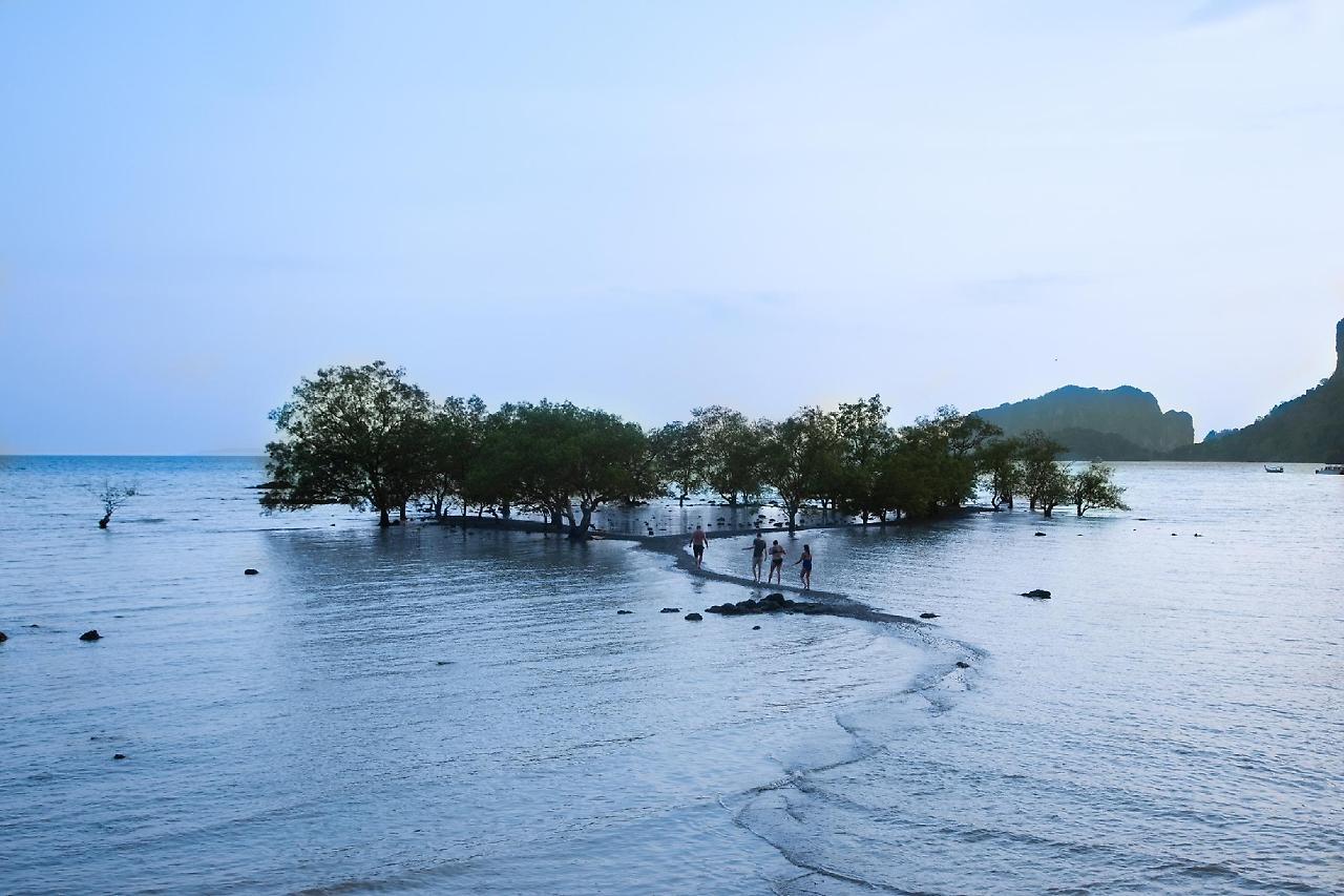 Cha-cha Krabi Beachfront 4*