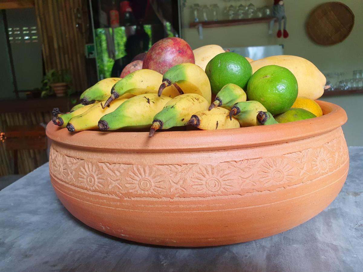The Mellow Mango
