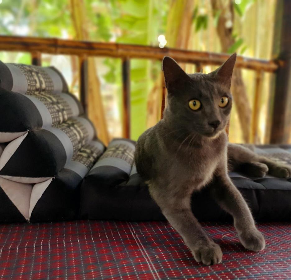 The Mellow Mango * Koh Lanta