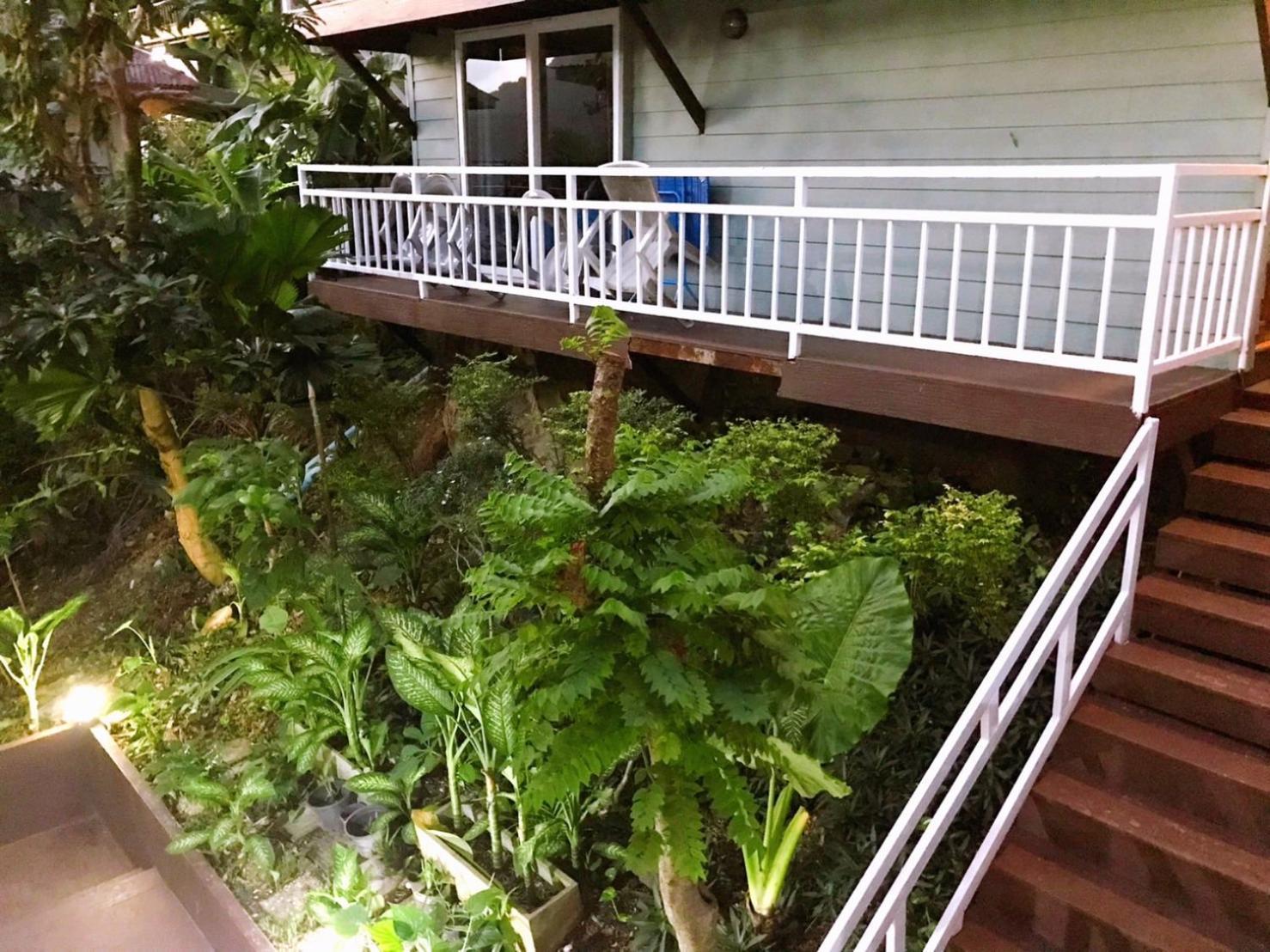 Blue View House Hostel