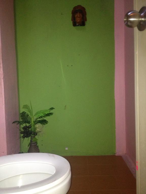 Hostel Maddy's *