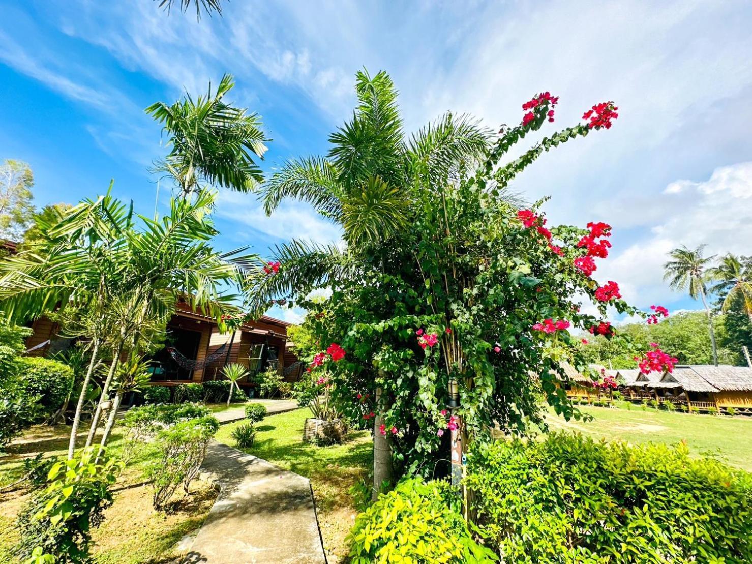 Baan Check In 3*