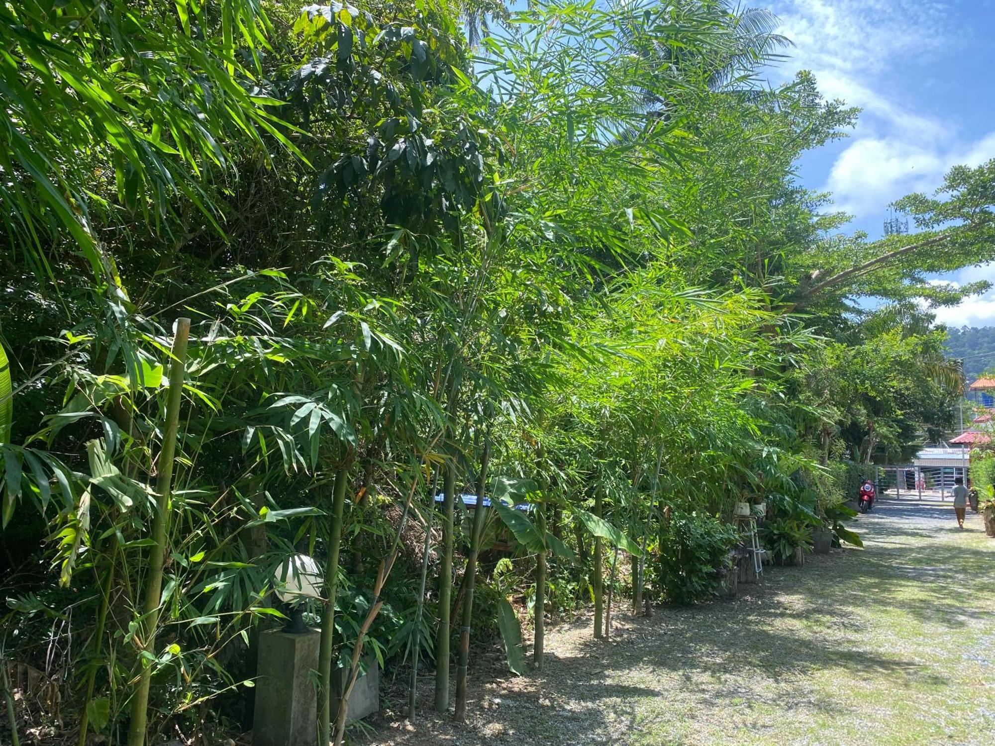 Hostel Baan Longhaad