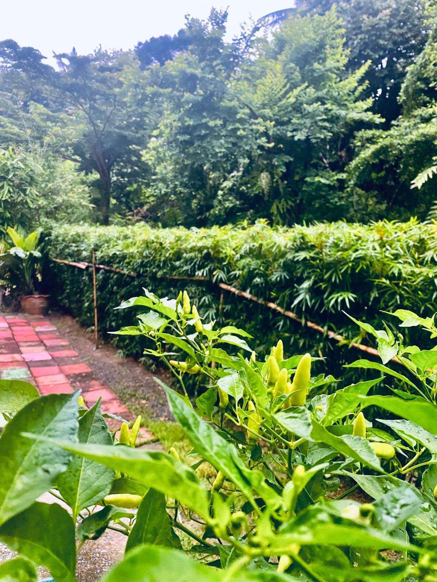 Baan Longhaad Hostel Koh Lanta