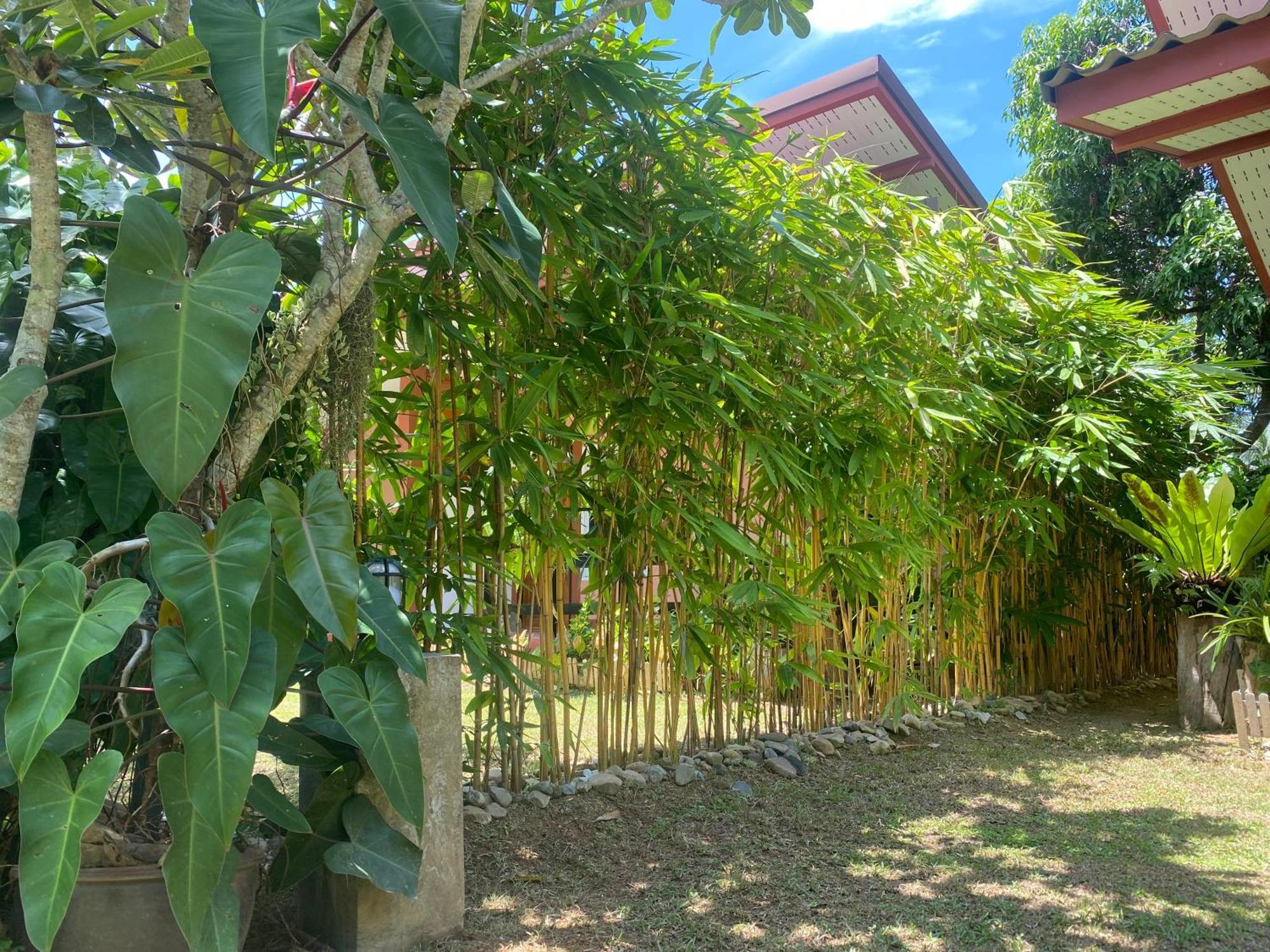 Baan Longhaad * Koh Lanta