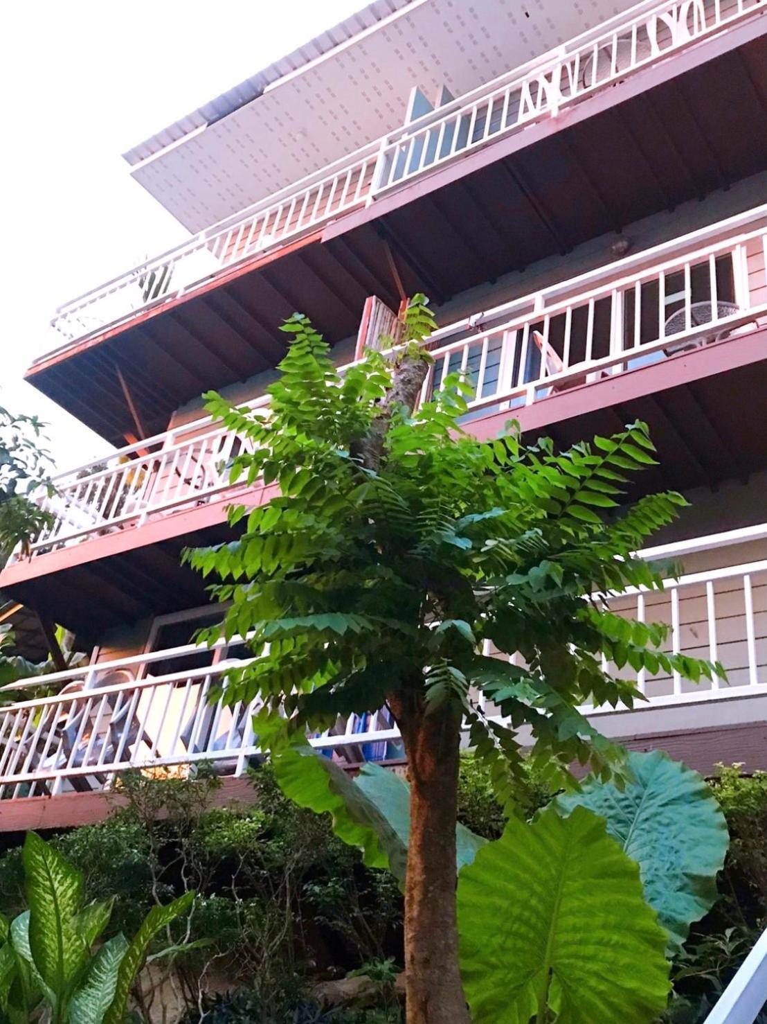 Blue View House *