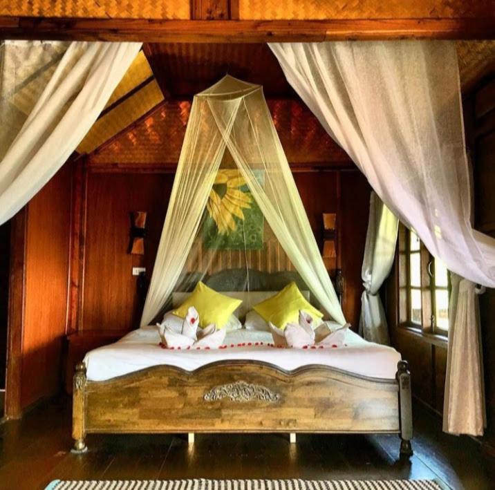 Hotel Tree House