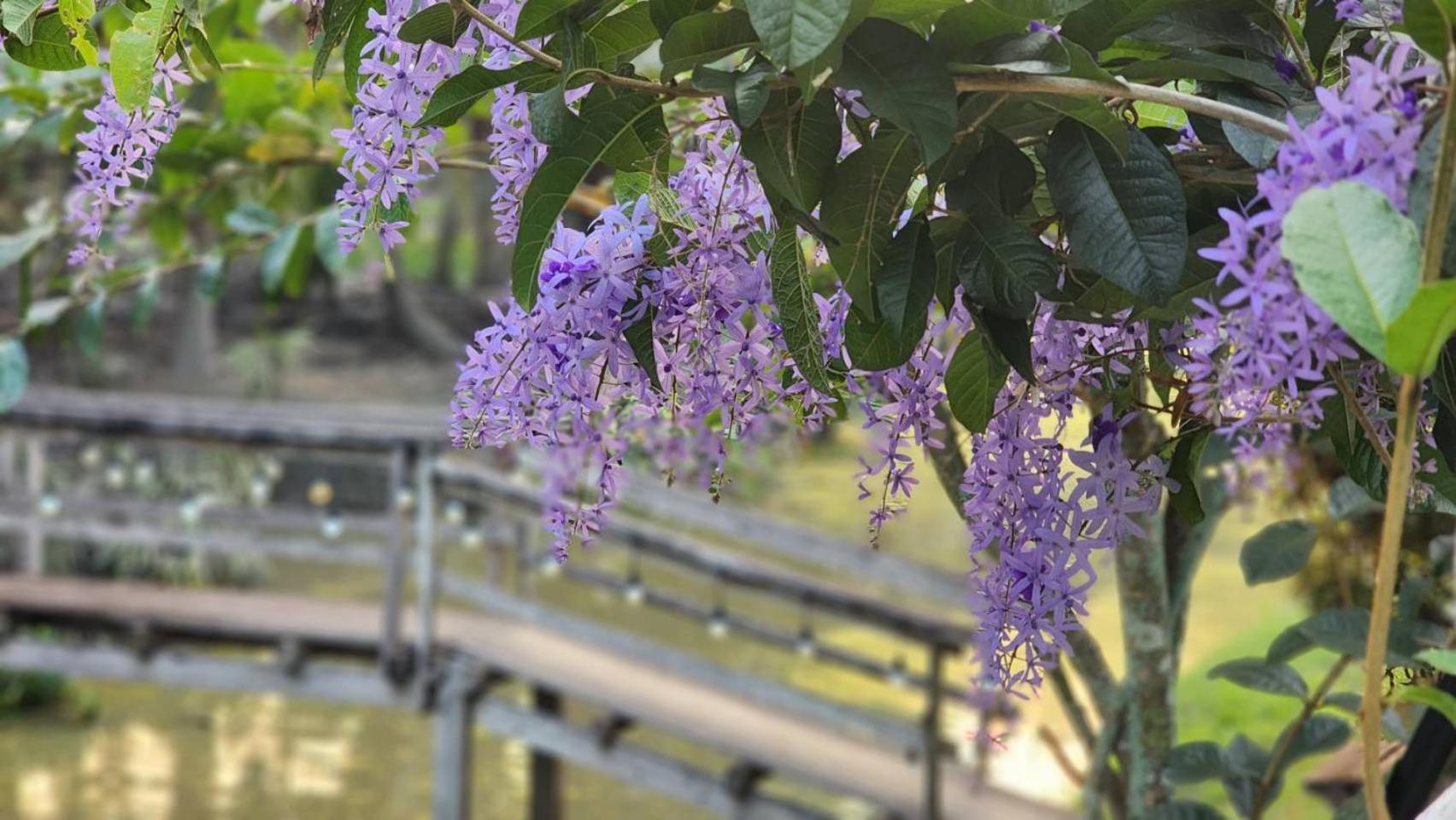 Baan Klong Damnoen Saduak