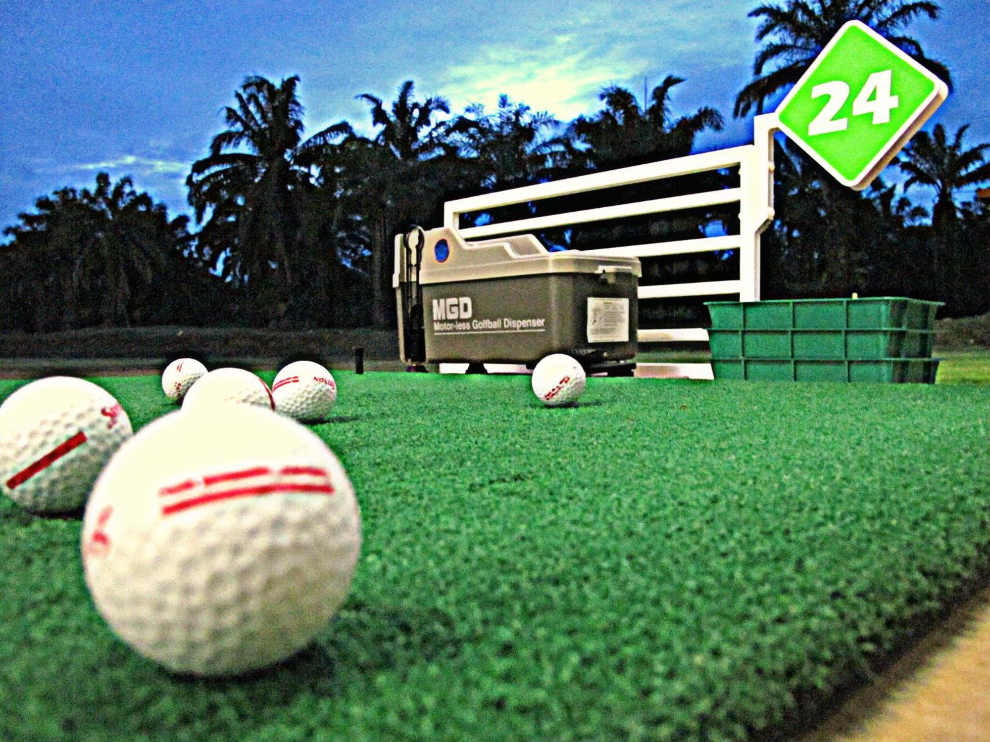 Resort Palm Driving Range &