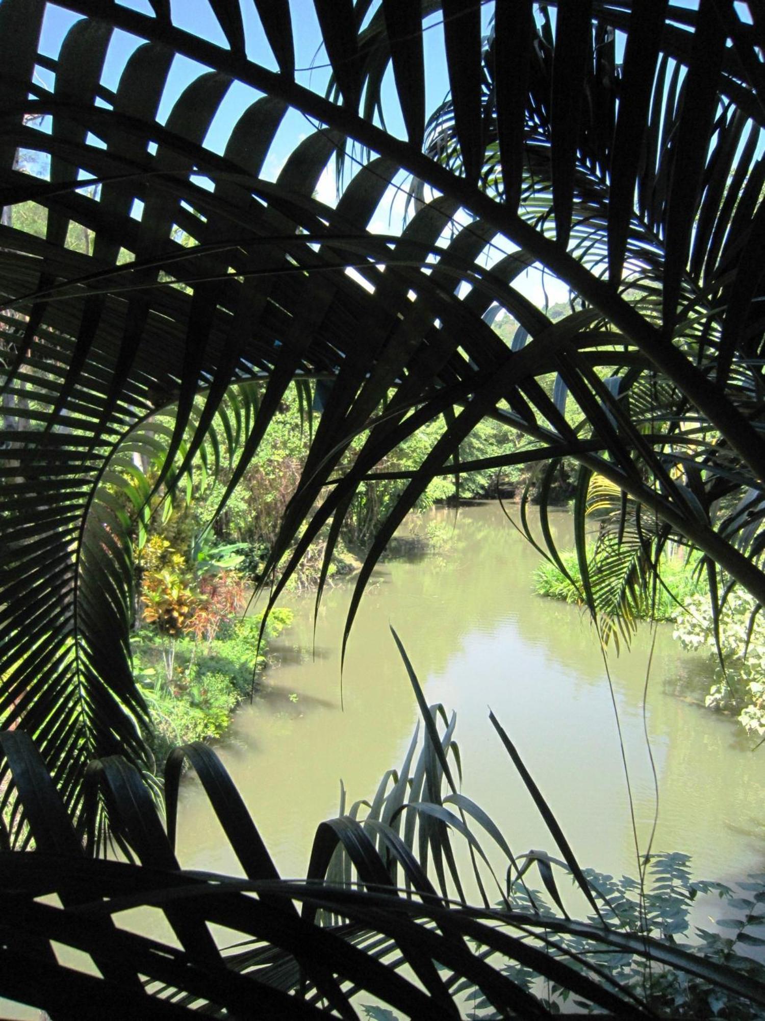 Resort Phanom Bencha Mountain 3*
