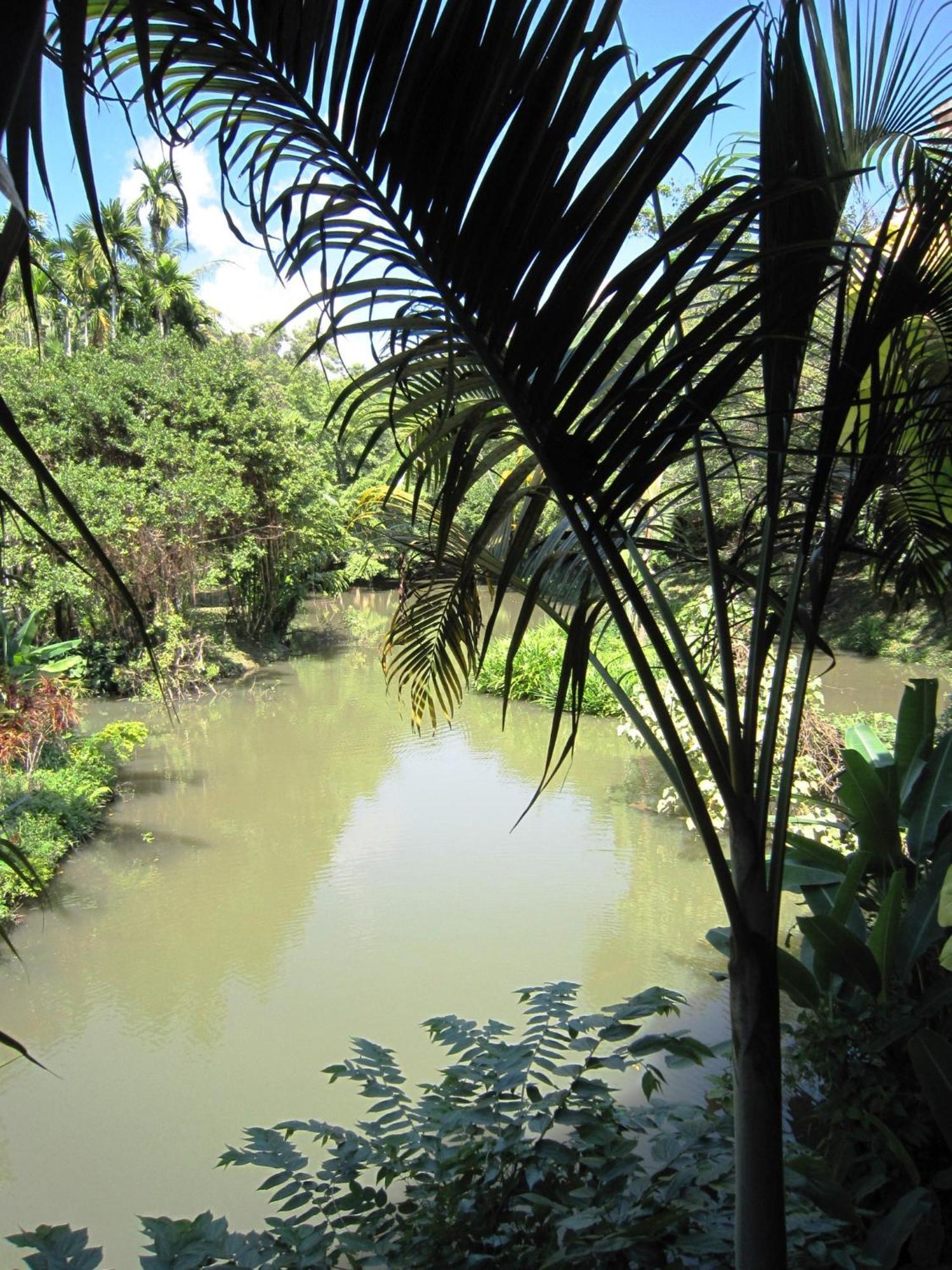 Resort Phanom Bencha Mountain 3*