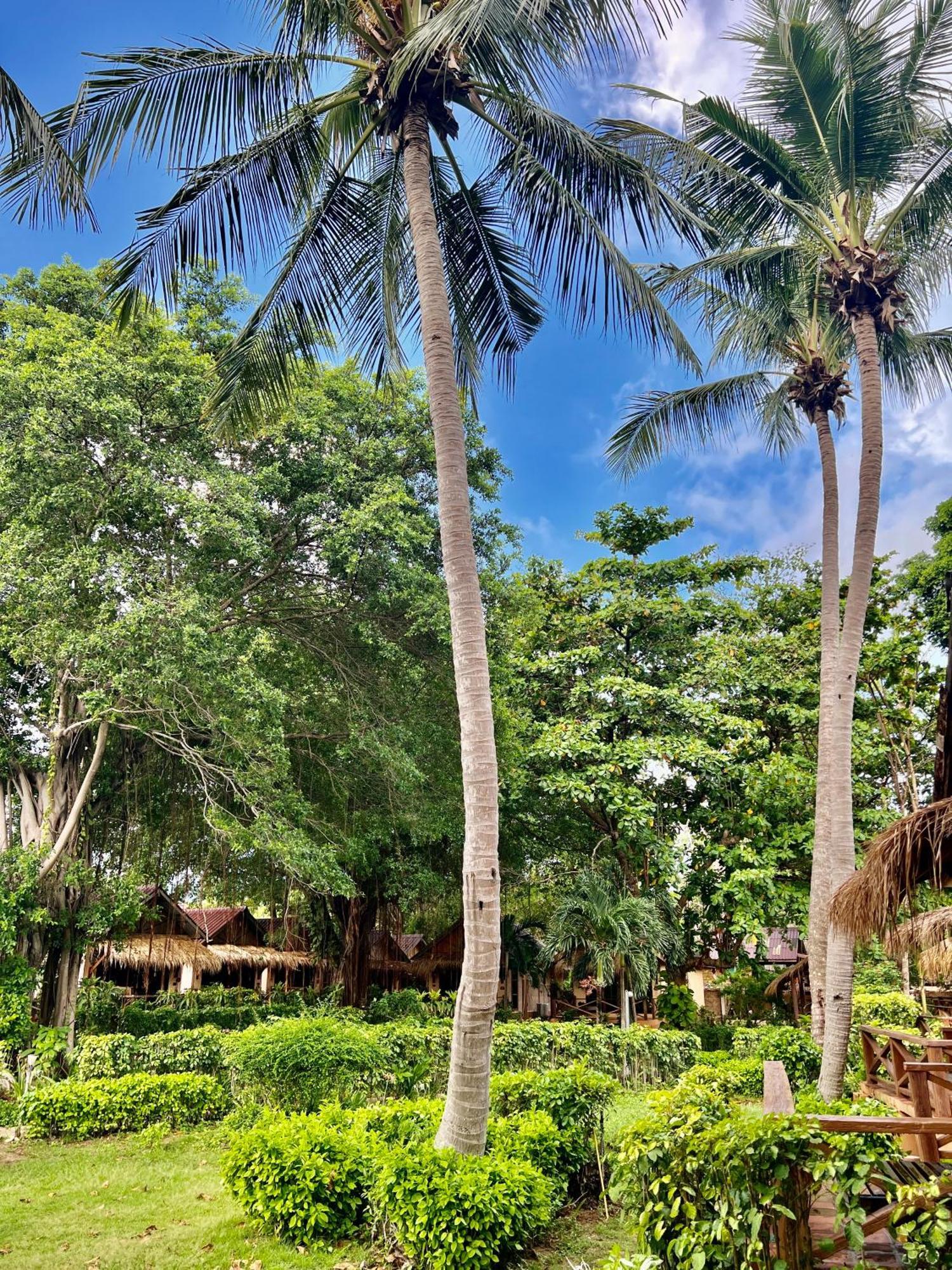 Resort Nautilus Right On The - Adult Only - Sha Extra 3*
