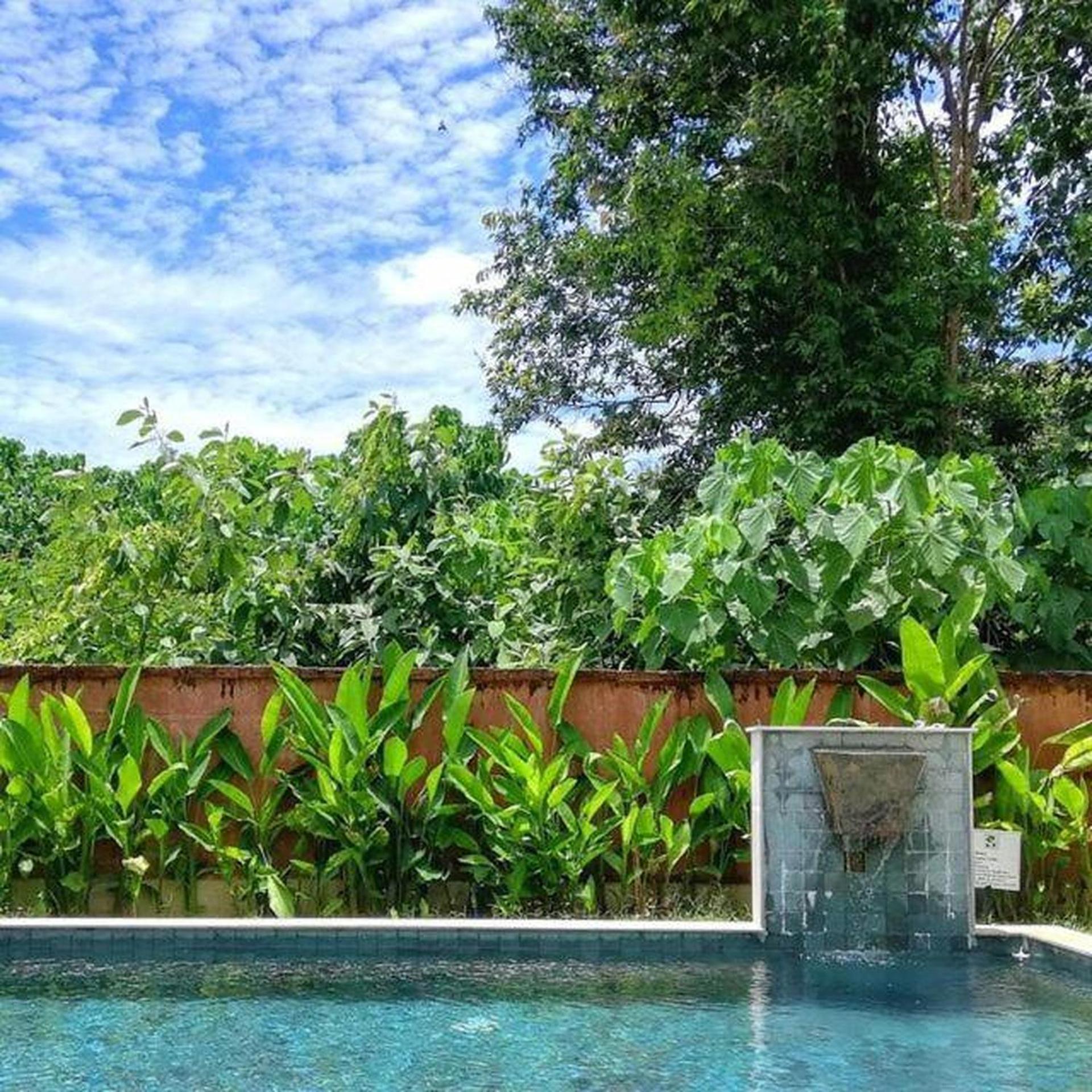 Villa Alanta Pool Koh Lanta