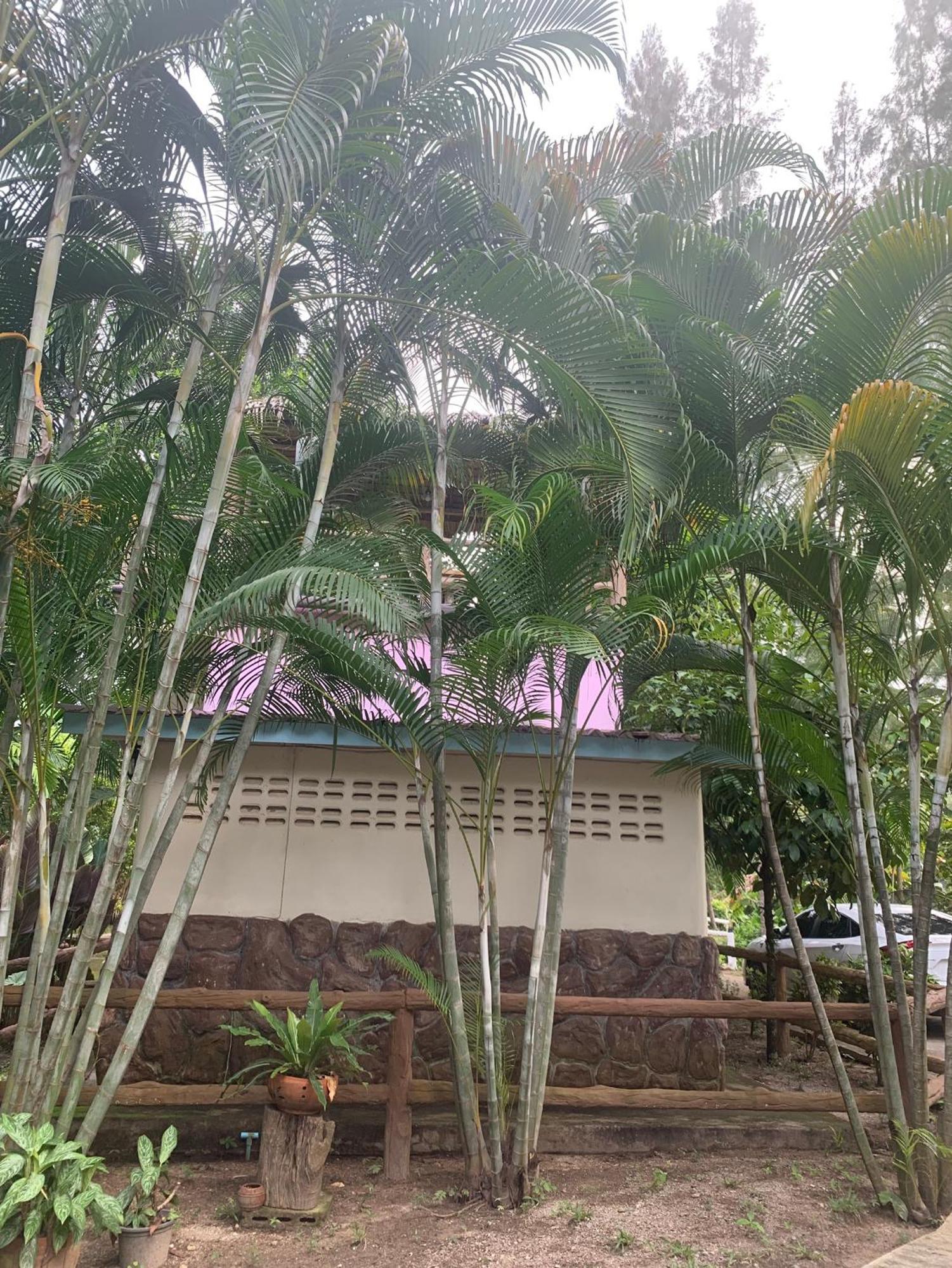 Resort Ruen Karlae