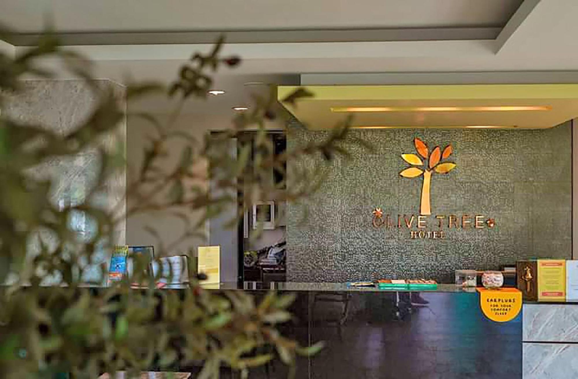 Hotel Olive Tree Pattaya