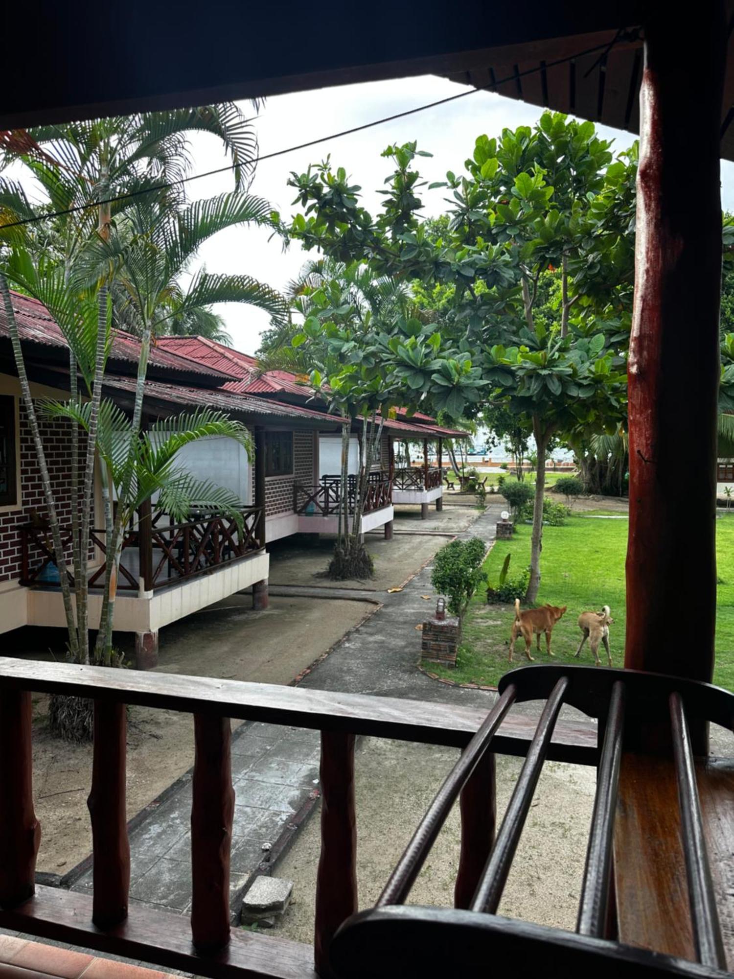 Rose Resort